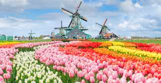 10 Destinasi Wisata Alam Belanda yang Wajib Dikunjungi, Xperience Team