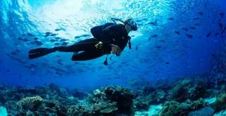 Lặn biển Nha Trang: Top 5 điểm đến không thể bỏ lỡ, Traveloka VN