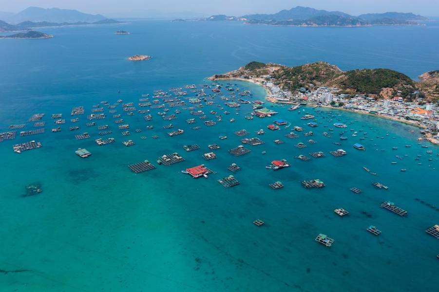 Các tổ hợp bè cá bao quanh Đảo Bình Hưng | Bản đồ du lịch Nha Trang