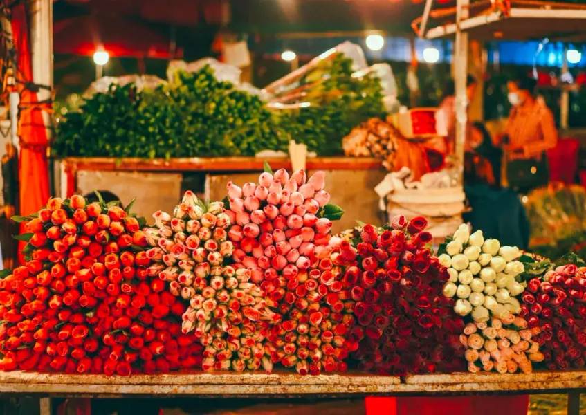 Chợ hoa Quảng Bá rực rỡ sắc màu | Chợ Phùng Khoang
