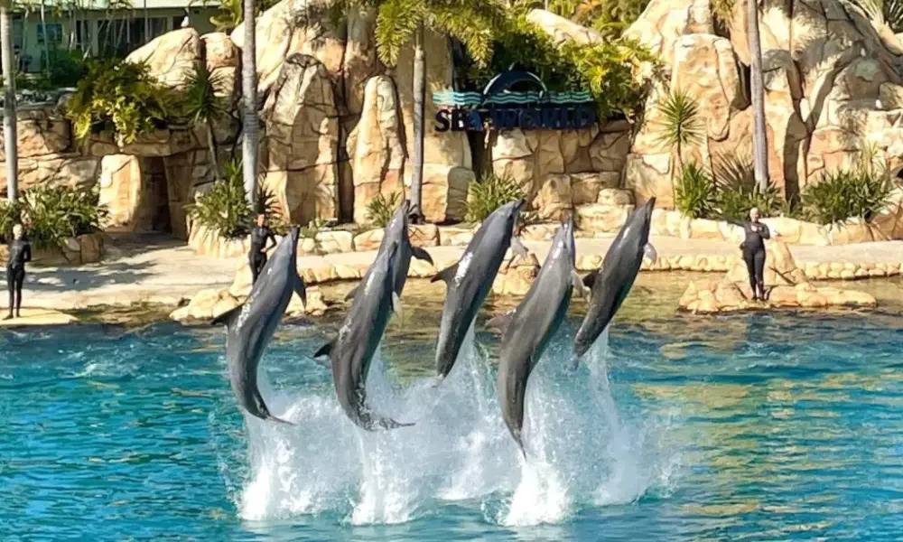 Công viên Sea World