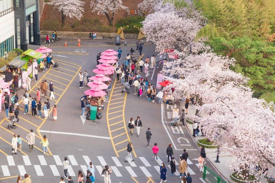 E-World, Daegu đẹp nhất độ xuân và thu