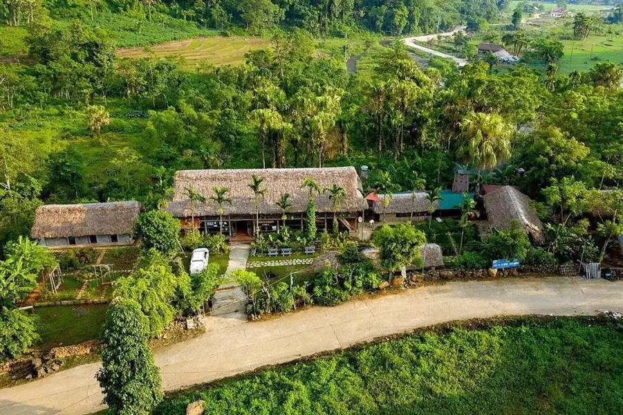 Vườn Quốc Gia Xuân Sơn – Thiên đường hoang sơ giữa lòng Phú Thọ | Giỗ tổ Hùng Vương
