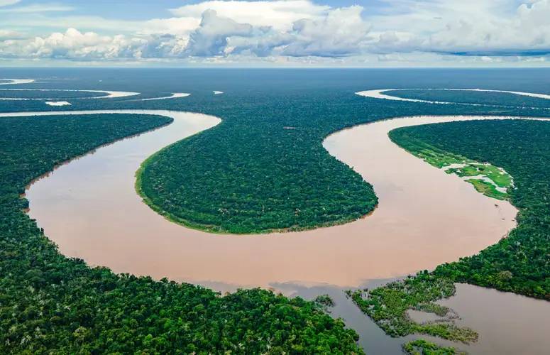 Mengenal Hutan Amazon