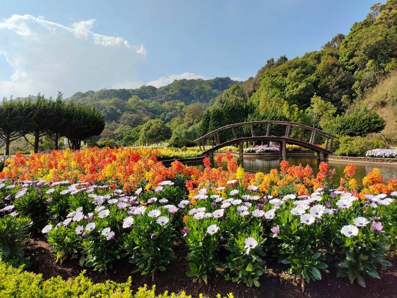 25 จุดที่เที่ยวสวนดอกไม้ทั่วไทย