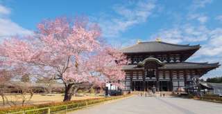 7 Objek Wisata di Kota Nara Jepang yang Wajib Dikunjungi, Xperience Team