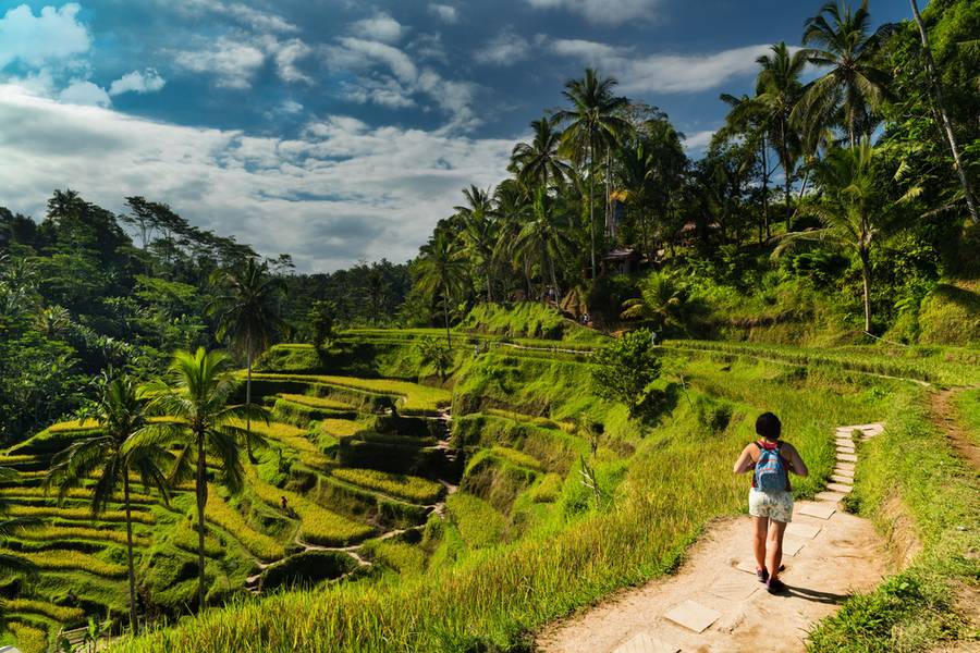 Du khách dành thời gian tham gia các hoạt động và ngắm cảnh ruộng bậc thang Tegalalang | Raya và rồng thần cuối cùng
