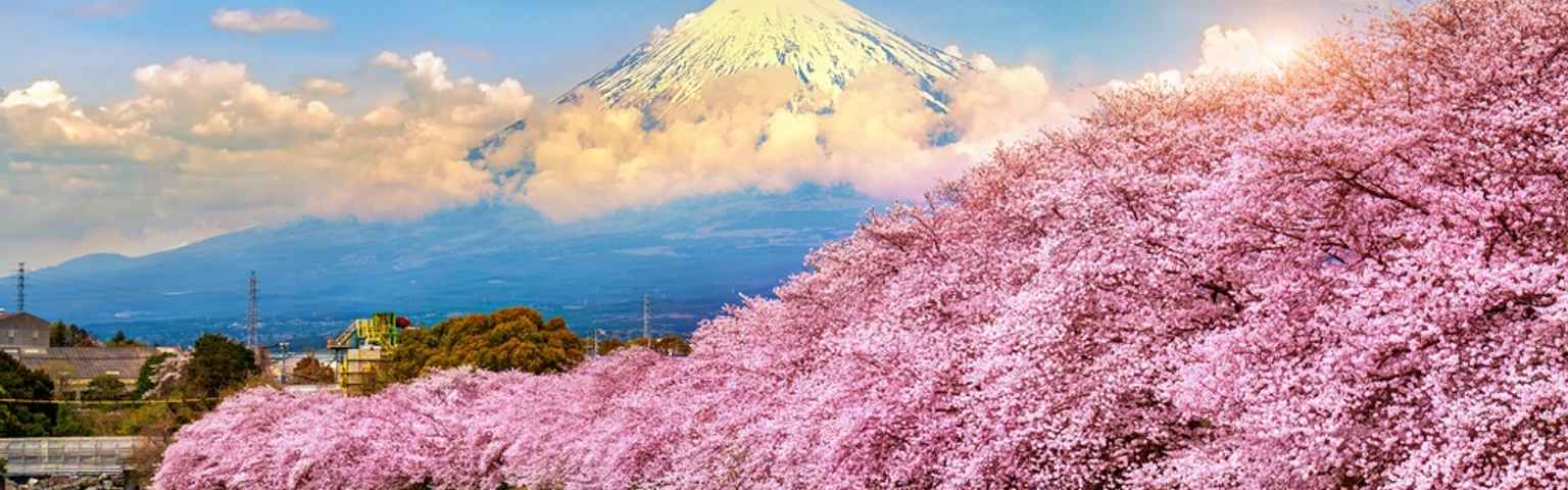 Japan Public Holiday 2026 Calendar, Golden Week, Festivals & Travel