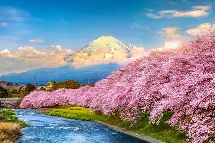 Japan Public Holiday 2025: Major Events & Best Time to Visit, Traveloka Team