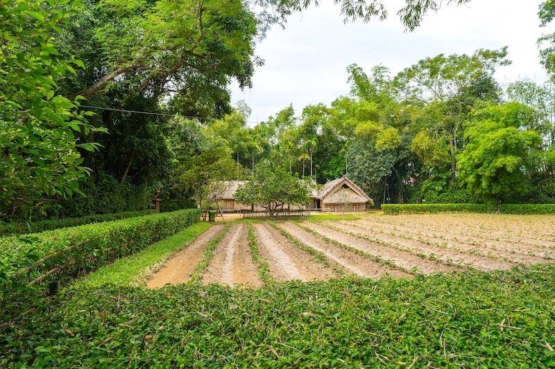 địa điểm du lịch Nghệ An Làng Sen quê Bác với khung cảnh thanh bình