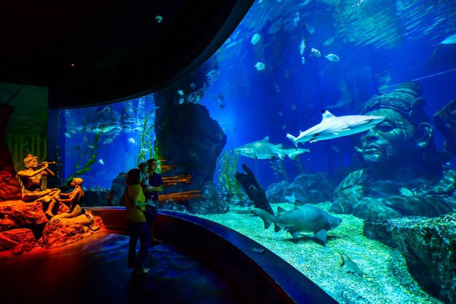 Thủy cung SEALIFE BANGKOK được xếp hạng là thủy cung lớn nhất Đông Nam Á | Siam Paragon