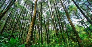 12 Wisata Bogor Sentul yang Lagi Hits, Wajib Dikunjungi!, Xperience Team