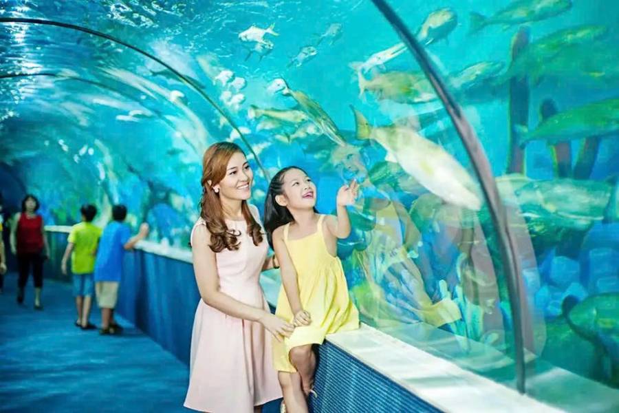 Khu Vui chơi Giáo dục VinKE | 30/4 nên đi đâu quanh Hà Nội