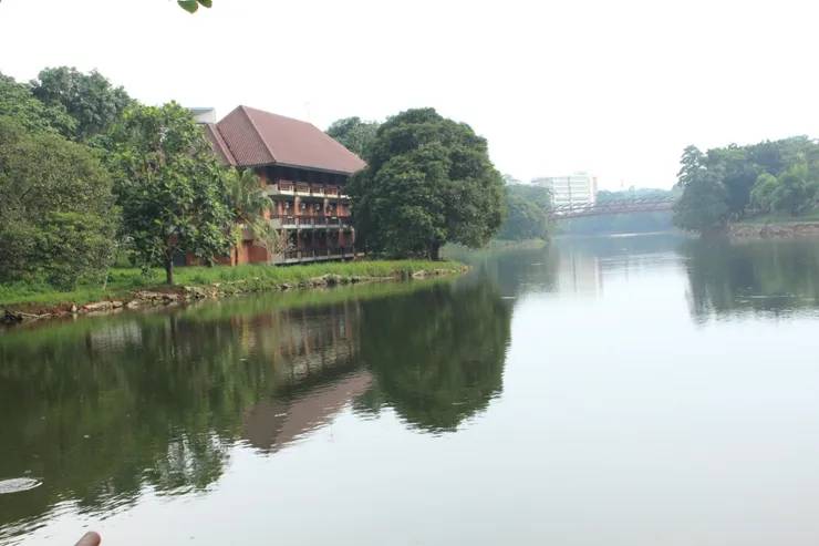 Danau UI tempat healing di Depok