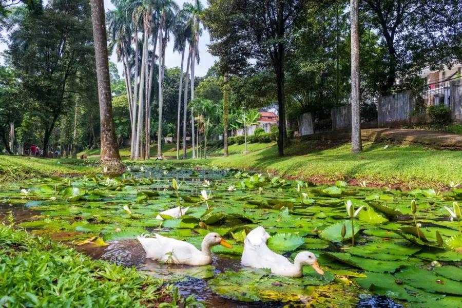 Taman Langsat