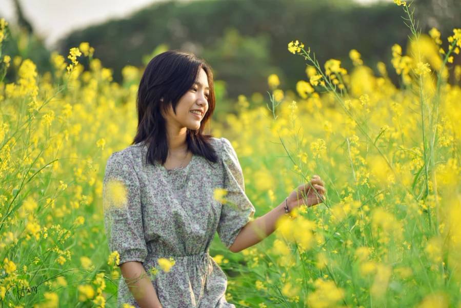 Cánh đồng hoa cải vàng là điểm đến được nhiều du khách để check in vào những ngày đầu đông