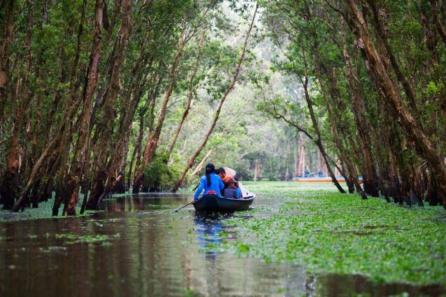Đi thuyền giữa rừng tràm Trà Sư