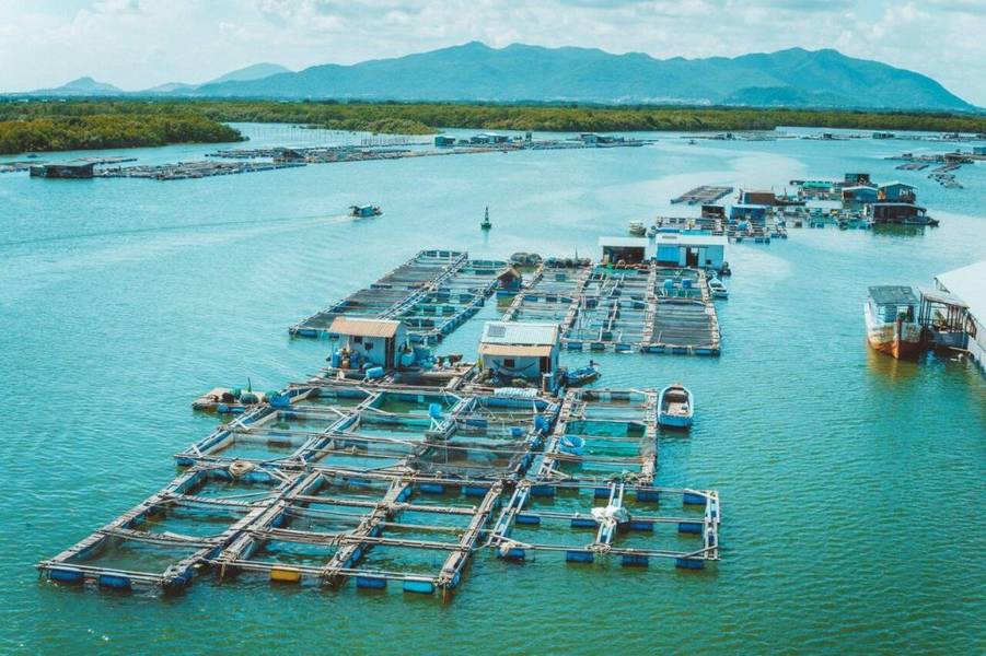 Làng bè tại đảo Long Sơn được ôm trọn bởi dãy núi hùng vĩ phía xa
