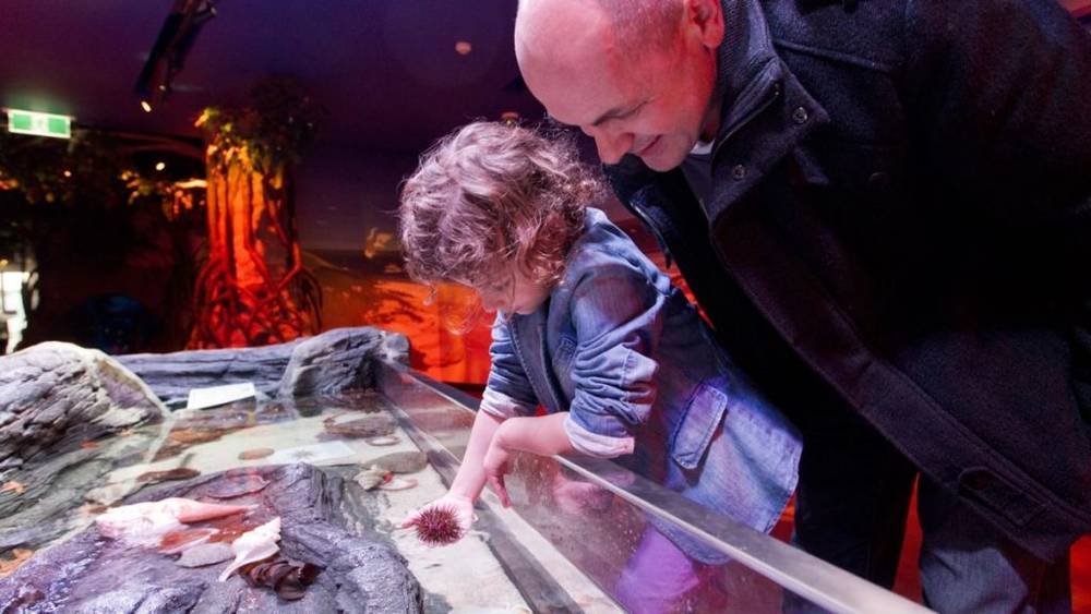 Thuỷ cung SEA LIFE Melbourne Aquarium có rất nhiều hoạt động tương tác | Du lịch Melbourne 