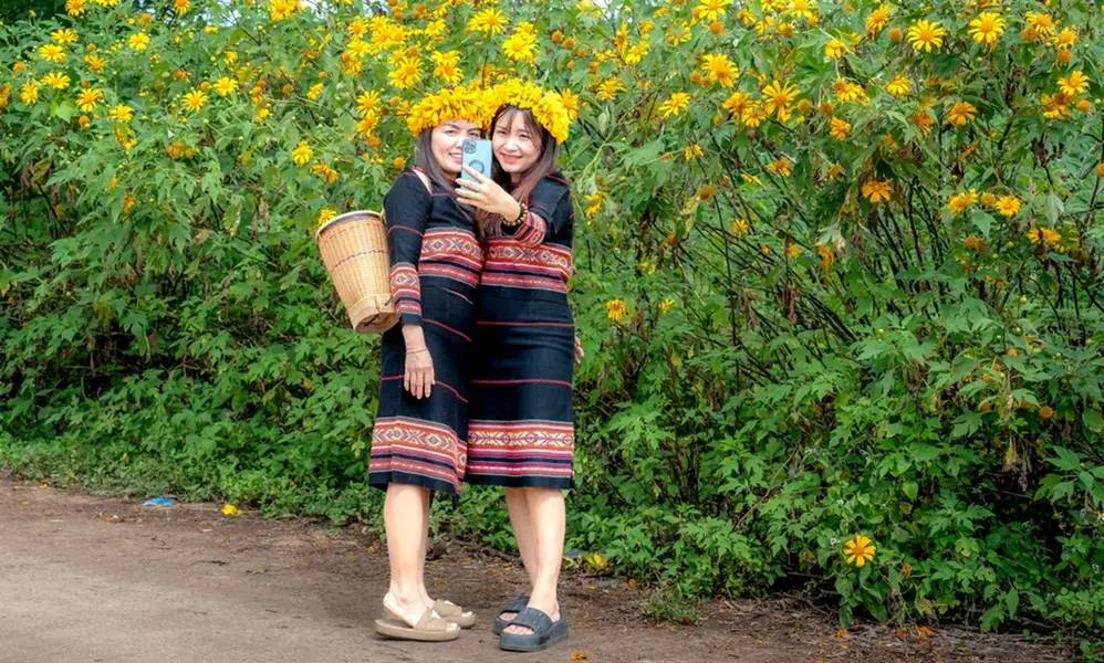 Mùa hoa dã quỳ đầy tươi sáng với ánh nắng ấm áp | Hoa và cảnh đẹp thiên nhiên