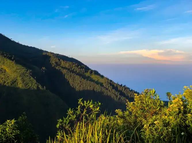 Bukit Jengkoang