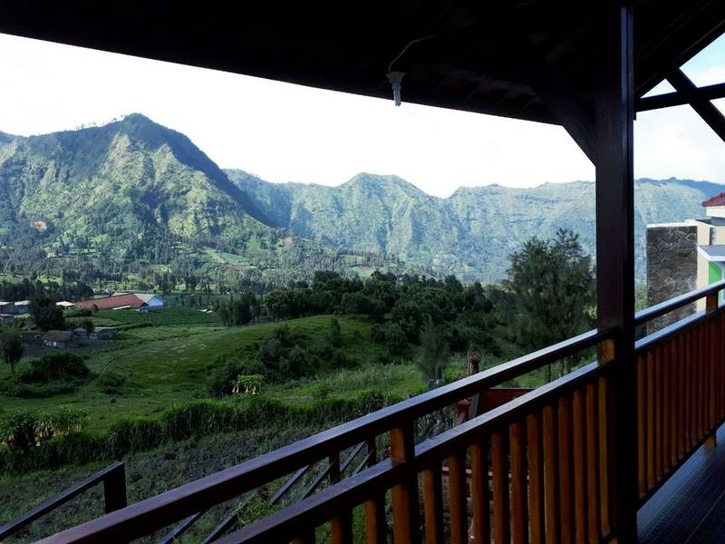 Lava view lodge

