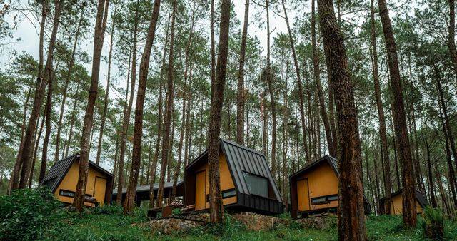 Bobocabin Cikole Bandung - hotel di Lembang