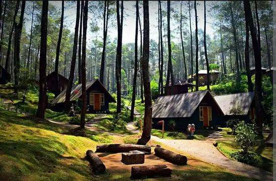 Glamping di Bandung