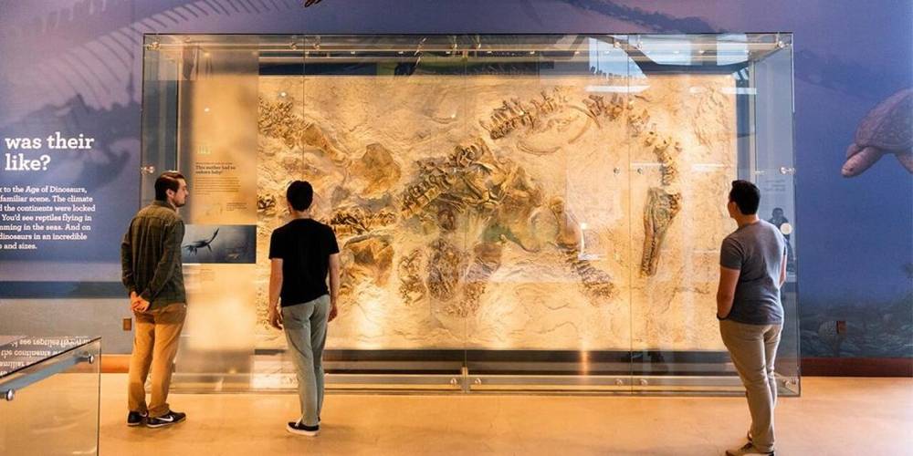 Bảo tàng Lịch sử Tự nhiên Los Angeles là địa điểm du lịch Mỹ nổi tiếng với các bộ hoá thạch khủng long khổng lồ