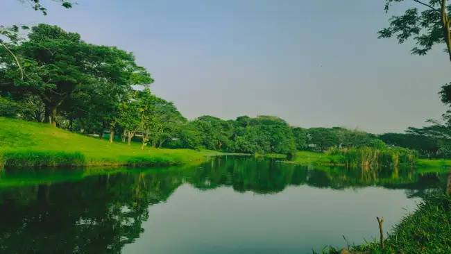  Danau Elysium