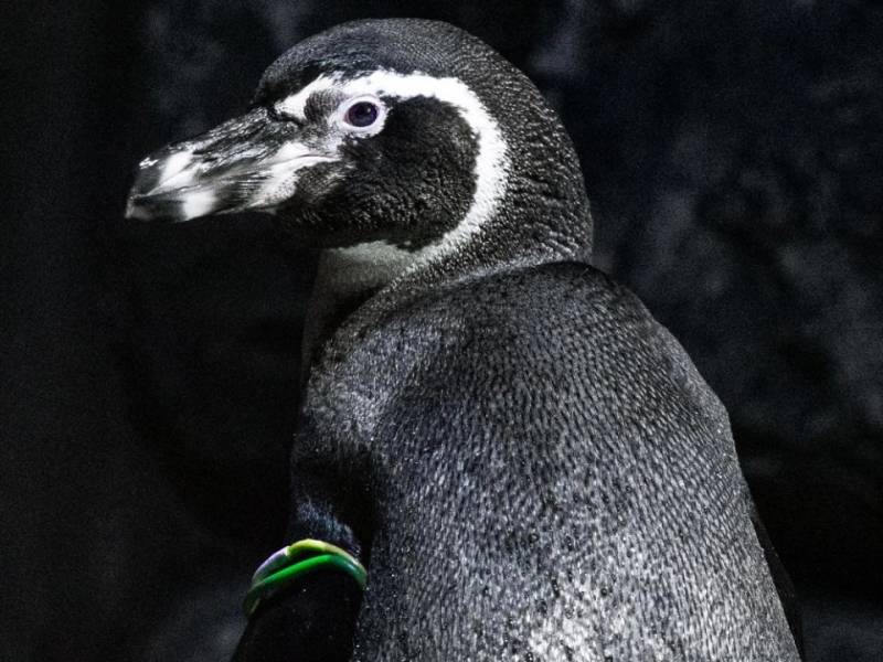 Rekomendasi Tempat Wisata Dekat Slipi