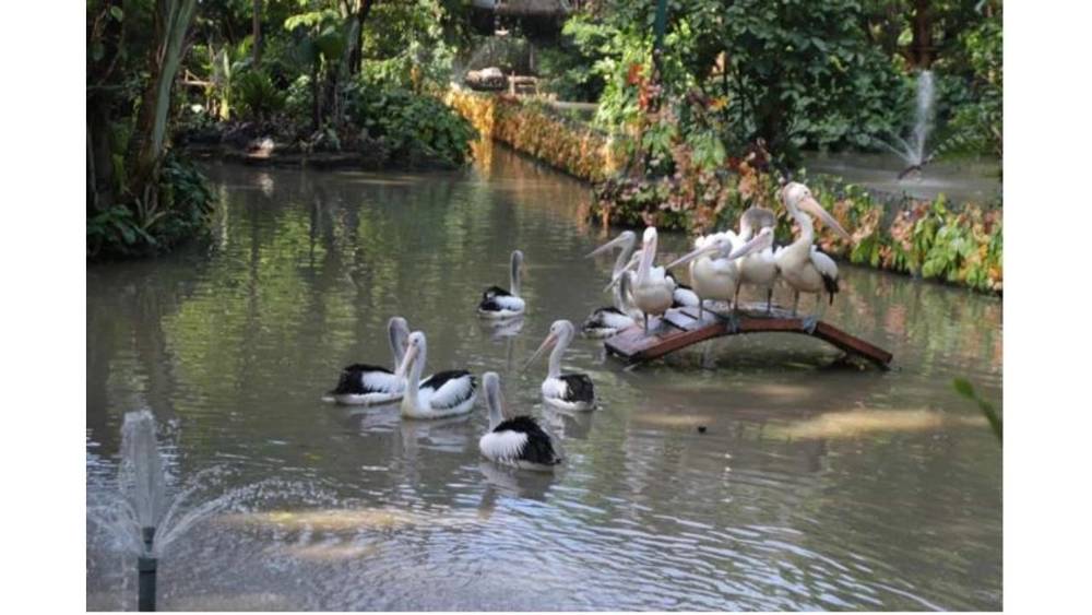 Tempat Wisata Menarik di Sekitar Surabaya