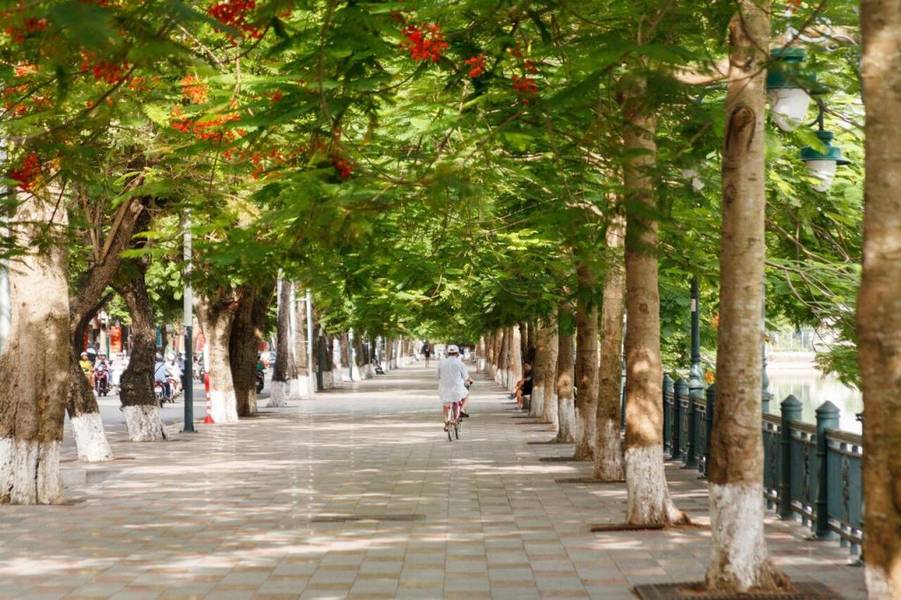 Khung cảnh thơ mộng và đậm chất riêng của thành phố hoa phượng đỏ khi hè về