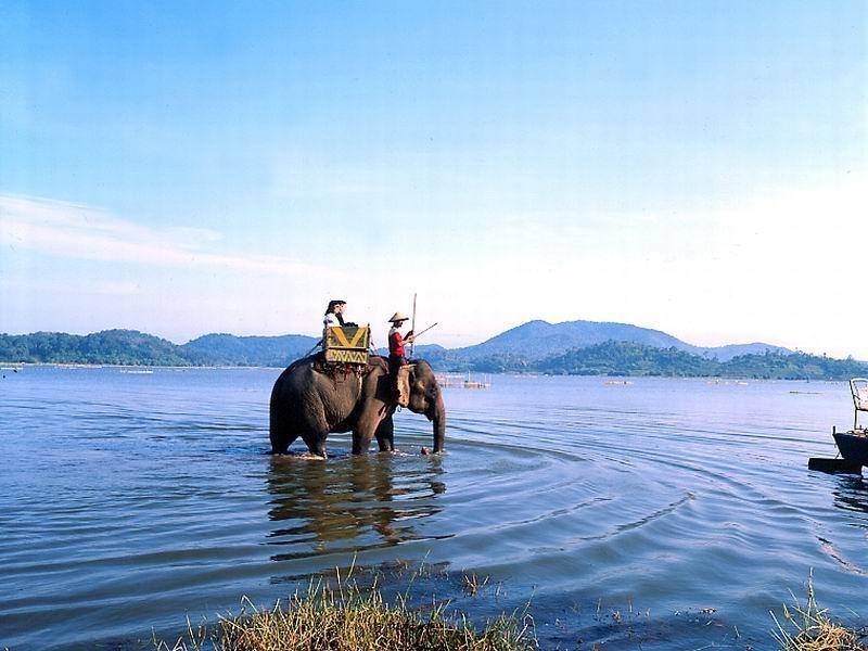 Hồ Lắk với thiên nhiên thơ mộng và là nơi diễn ra nhiều hoạt động văn hoá - cảnh đẹp Đắk Lắk