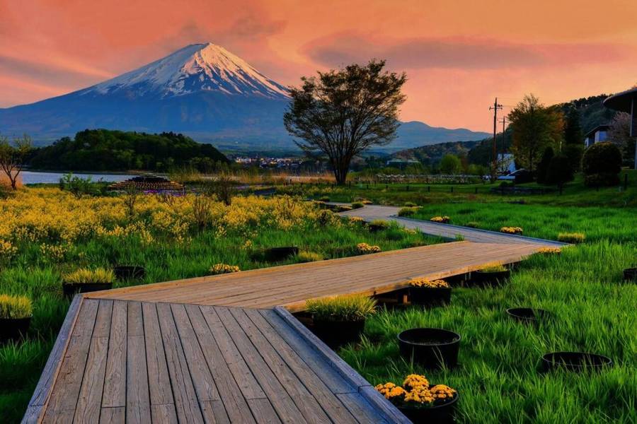 Núi Phú Sĩ  Điểm đến không thể bỏ lỡ tại Tokyo, Nhật Bản