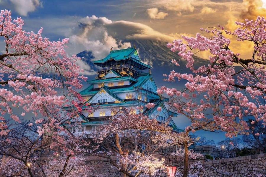 Lâu đài Osaka - Biểu tượng của thành phố lộng lẫy vào mùa hoa anh đào nở rộ