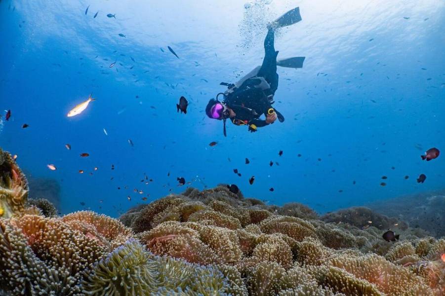 Lặn biển là hoạt động được nhiều du khách yêu thích trên đảo Koh Chang