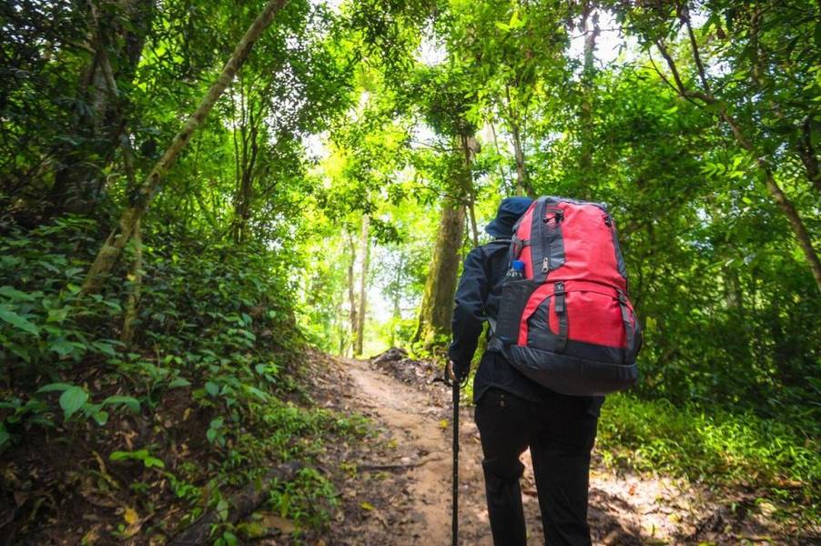 Hoạt động trekking xuyên các khu rừng trên đảo Koh Chang