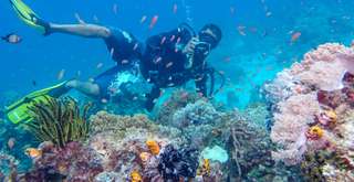 7 Spot Diving Terbaik di Malaysia untuk Semua Level Penyelam, Xperience Team