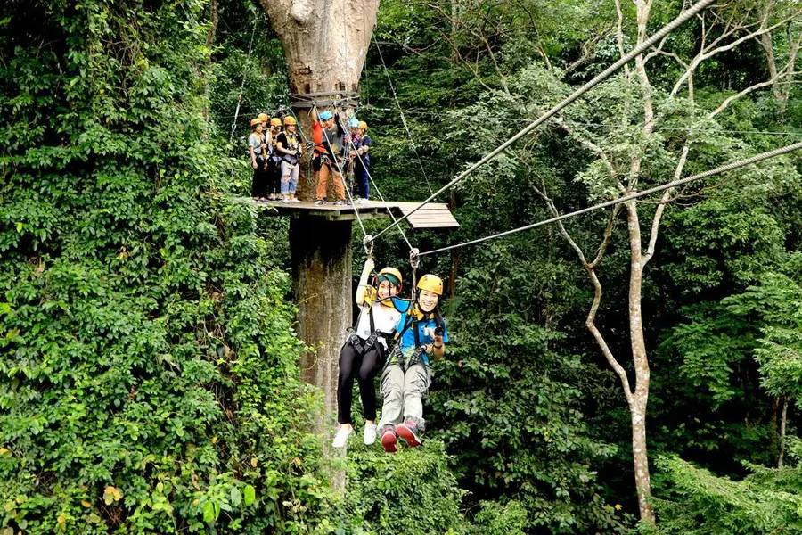ไฟล์ท ออฟ เดอะ กิบบอน (Flight of the Gibbon) พัทยา