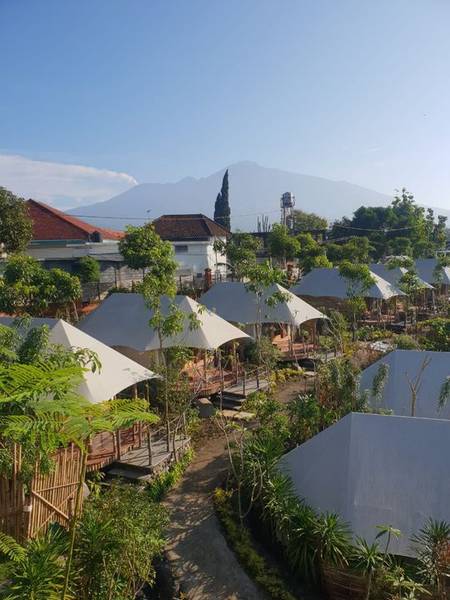 Oak Tree Glamping Resort 