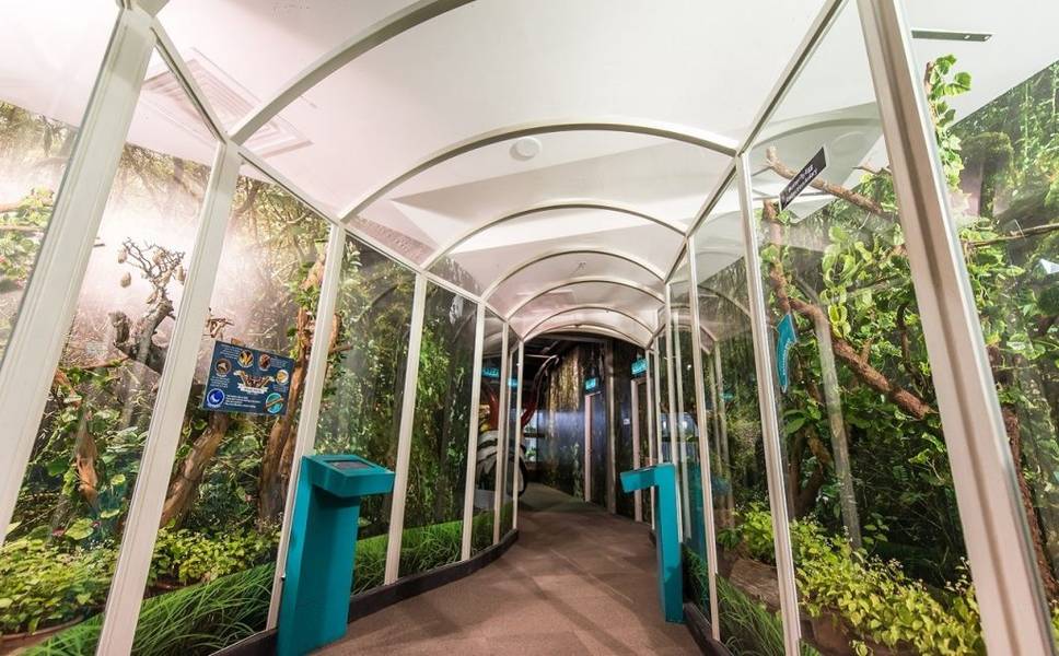 ที่เที่ยวมาเลเซีย Entopia by Penang Butterfly Farm 