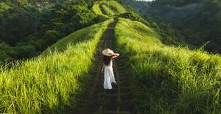 Dari Bandara Bali ke Ubud Berapa Jam?, Travel Bestie