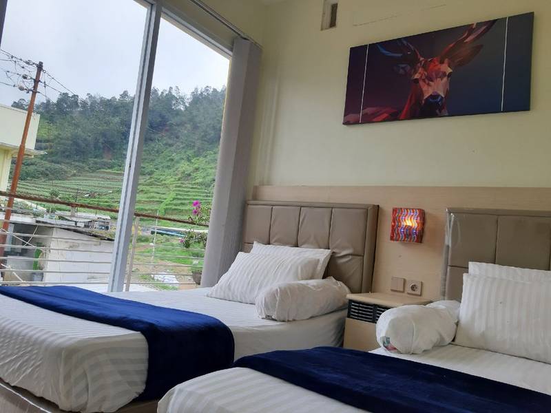 Homestay Dieng Cool
