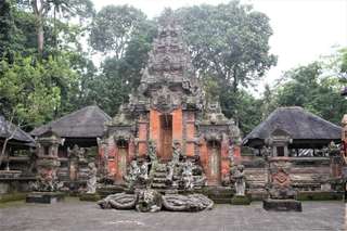 Sangeh Monkey Forest:  Daya Tarik dan Info Menarik Lainnya!, Mas Bellboy