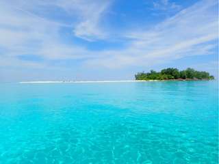 Pulau Lanjukang: Daya Tarik dan Info Menarik Lainnya!, Mas Bellboy