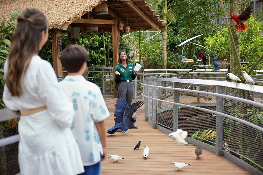 Bird Paradise สิงคโปร์