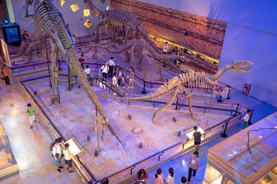 Guangdong Museum là địa điểm du lịch Quảng Đông thu hút du khách nhờ những bộ sưu tập cổ vật độc đáo