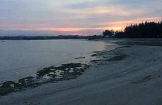 Pantai Tanjung Pinggir: Daya Tarik dan Info Menarik Lainnya!, Mas Bellboy