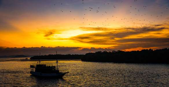 Pesona Pulau Kalong Labuan Bajo yang Unik